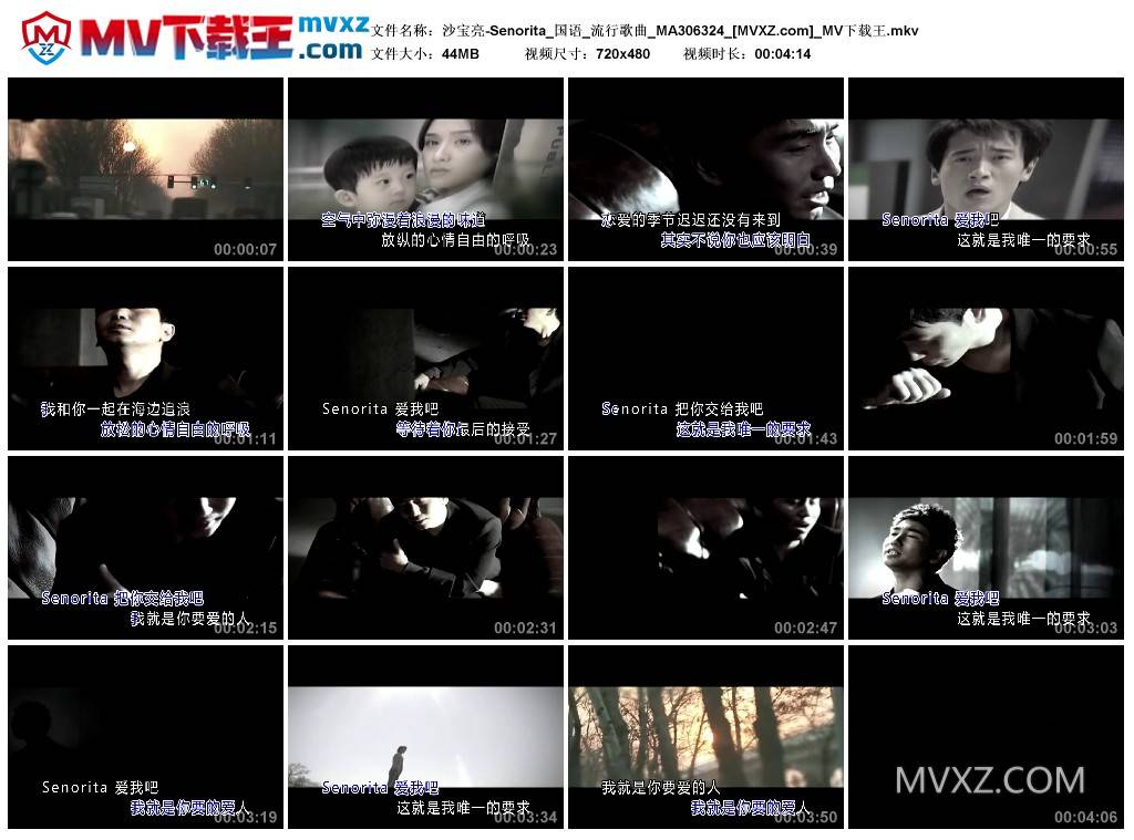 沙宝亮-Senorita_国语_流行歌曲_MA306324